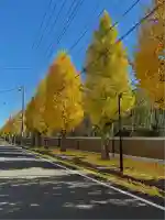弁天神社(神奈川県)