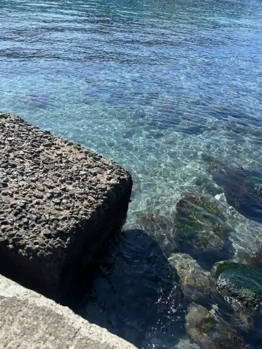 諸口神社の{uncategorized: "未分類", other: "その他", undefined: "問題あり", building: "その他建物", grave: "お墓", sacred_gate: "鳥居", guardian: "狛犬", statue: "像", buddha: "仏像", history: "歴史", nature: "自然", garden: "庭園", animal: "動物", pagoda: "塔", temizu: "手水舎", mountain_gate: "山門・神門", sanctuary: "本殿・本堂", subordinate: "末社・摂社", art: "芸術", scenery: "景色", jizo: "地蔵", ema: "絵馬", goshuin: "御朱印", omikuji: "おみくじ", items: "授与品その他", amulet: "お守り", goshuincho: "御朱印帳", eats: "食事", festival: "お祭り", votive_dance: "神楽", shichigosan: "七五三参", wedding: "結婚式", experience: "体験その他", initially: "初詣", around: "周辺", anti_infection: "感染症対策"}