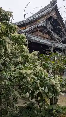 興聖寺(京都府)