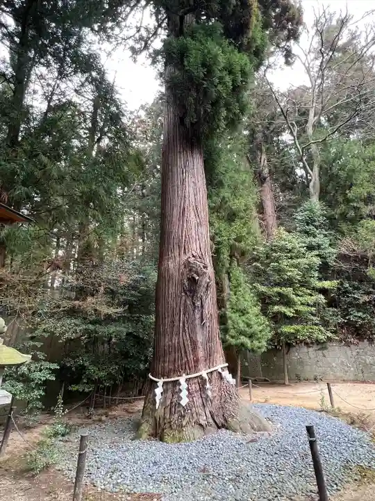 鹿嶋神社(福島県)
