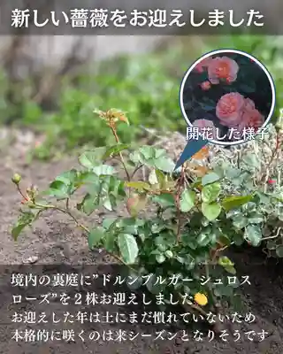 宝光寺(北海道)