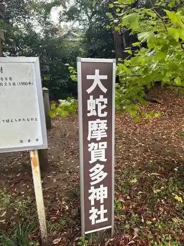 大蛇摩賀多神社(千葉県)