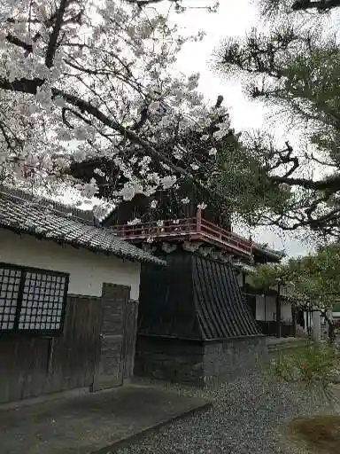 龍光寺のその他建物
