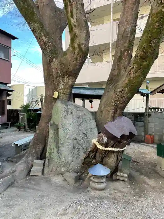 三本松不動院の建物その他