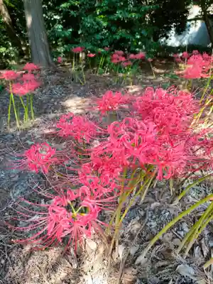 都波岐奈加等神社の自然