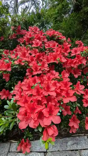 検見川神社の自然