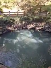 唐澤山神社の建物その他