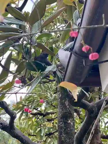 新德禅寺 (新徳寺)(京都府)