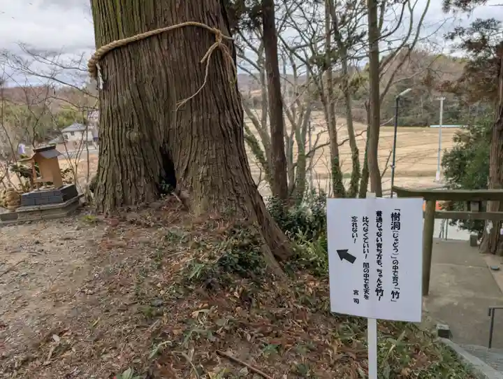阿久津「田村神社」(郡山市阿久津町)旧社名:伊豆箱根三嶋三社(福島県)