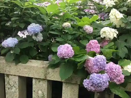 靜岡縣護國神社の自然