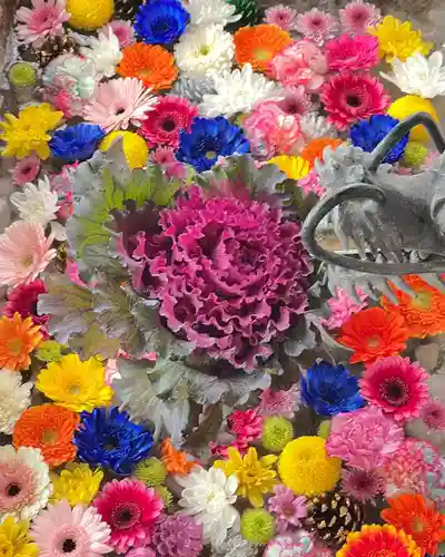 札幌諏訪神社の手水舎