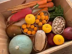 滑川神社 - 仕事と子どもの守り神(福島県)(2022年12月22日(木) 09時21分25秒投稿)