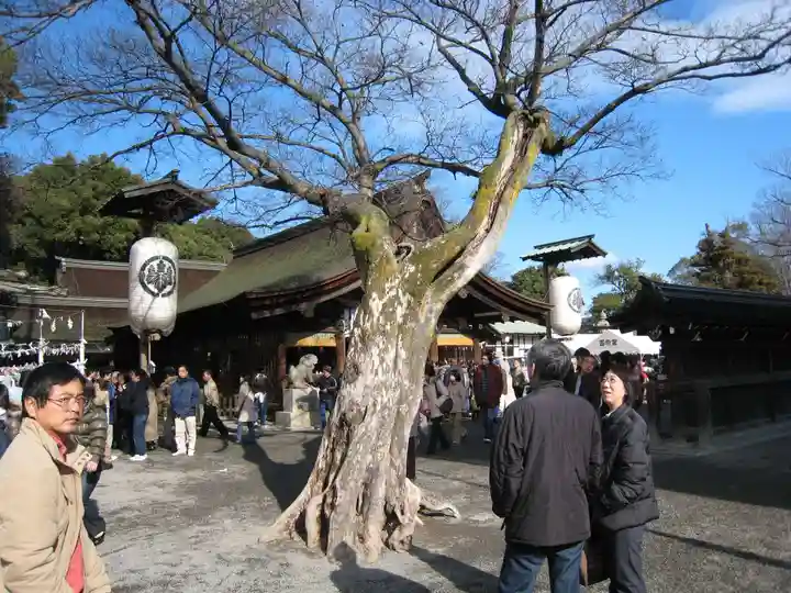 尾張大國霊神社(国府宮)(愛知県)