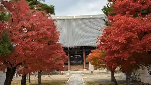 妙顯寺（妙顕寺）(京都府)