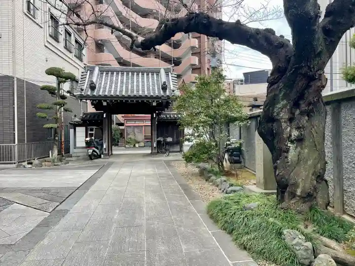 正洞院の{uncategorized: "未分類", other: "その他", undefined: "問題あり", building: "その他建物", grave: "お墓", sacred_gate: "鳥居", guardian: "狛犬", statue: "像", buddha: "仏像", history: "歴史", nature: "自然", garden: "庭園", animal: "動物", pagoda: "塔", temizu: "手水舎", mountain_gate: "山門・神門", sanctuary: "本殿・本堂", subordinate: "末社・摂社", art: "芸術", scenery: "景色", jizo: "地蔵", ema: "絵馬", goshuin: "御朱印", omikuji: "おみくじ", items: "授与品その他", amulet: "お守り", goshuincho: "御朱印帳", eats: "食事", festival: "お祭り", votive_dance: "神楽", shichigosan: "七五三参", wedding: "結婚式", experience: "体験その他", initially: "初詣", around: "周辺", anti_infection: "感染症対策"}