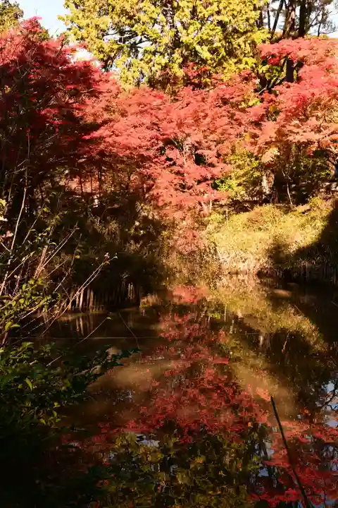 曼殊院門跡(京都府)