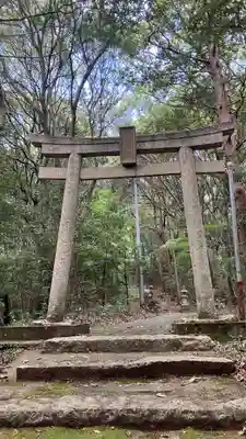 松尾神社の鳥居