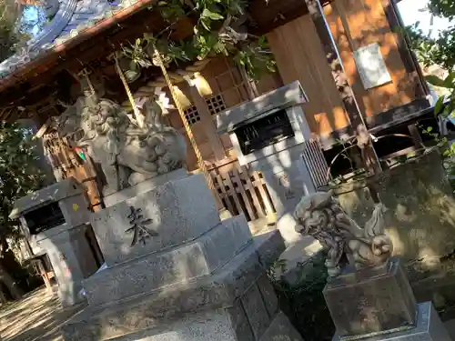 日限富士浅間神社の狛犬