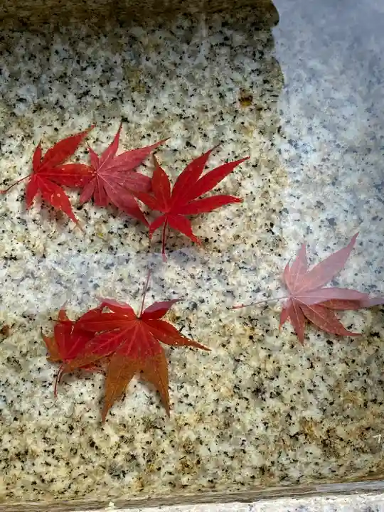 横浜御嶽神社の手水舎