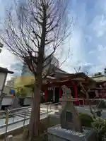 二宮神社の本殿・本堂