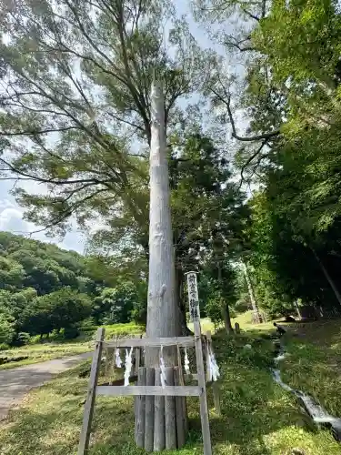 諏訪大社上社前宮(長野県)