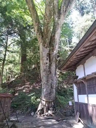 丹生川上神社（下社）(奈良県)