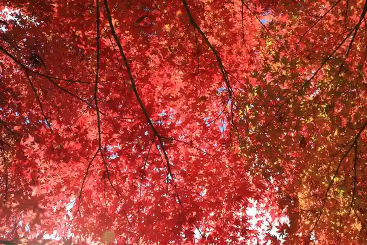 滑川神社 - 仕事と子どもの守り神の庭園