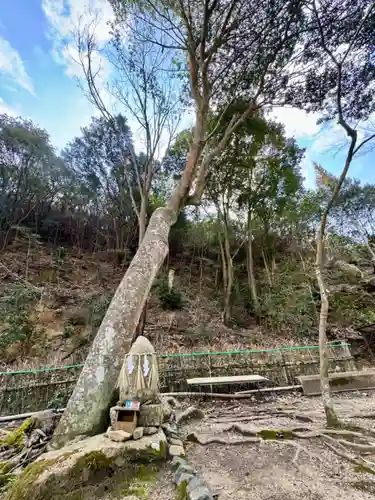 早瀧比咩神社(岡山県)