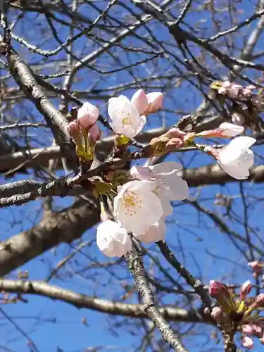 伏木香取神社の自然
