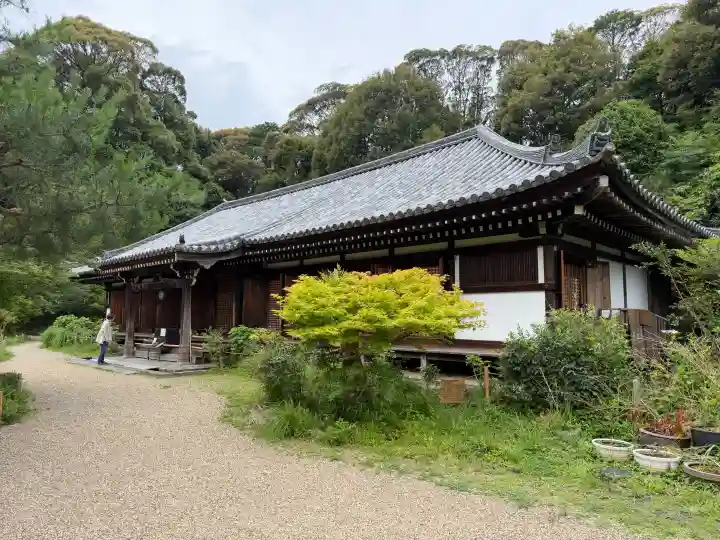 浄瑠璃寺(京都府)