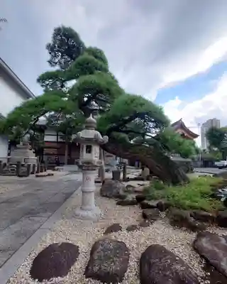 瑞光寺(東京都)
