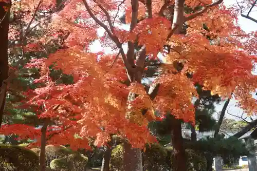 開成山大神宮の自然