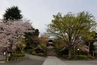 護国寺のその他建物