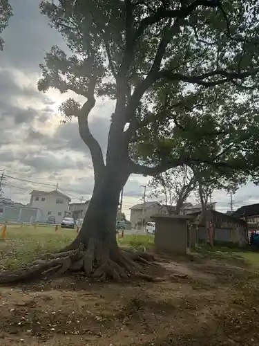 住吉神社(兵庫県)
