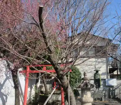 自性院(東京都)