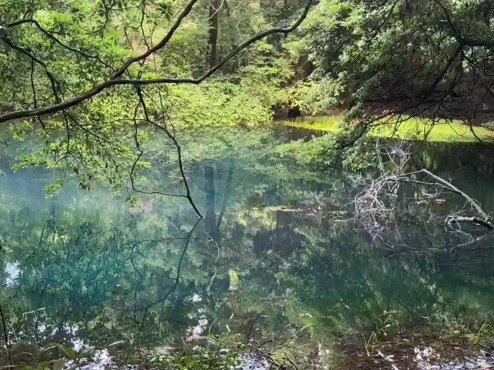 丸池神社(山形県)