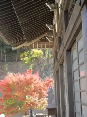 安國論寺（安国論寺）のその他建物