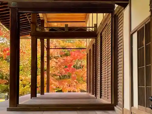 南禅寺のその他建物