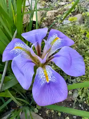 本妙寺(京都府)