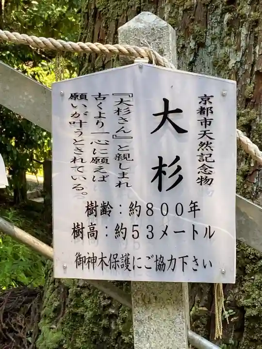 鞍馬寺(京都府)