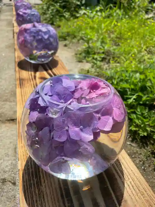 般若寺 ❁コスモス寺❁(奈良県)