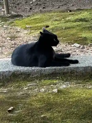 王子神社(徳島県)