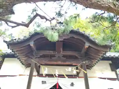 素盞嗚神社の本殿・本堂