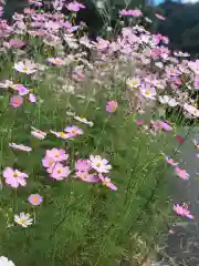 木舟山　順教寺の自然