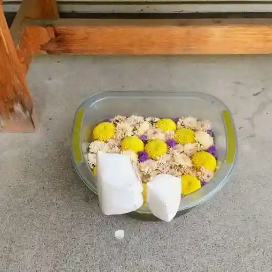 彌彦神社 (伊夜日子神社)の手水舎