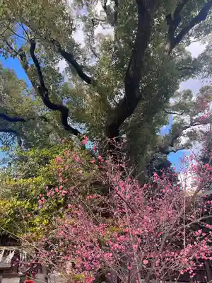 和泉國一之宮　大鳥大社(大阪府)