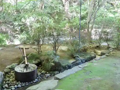 龍安寺の庭園