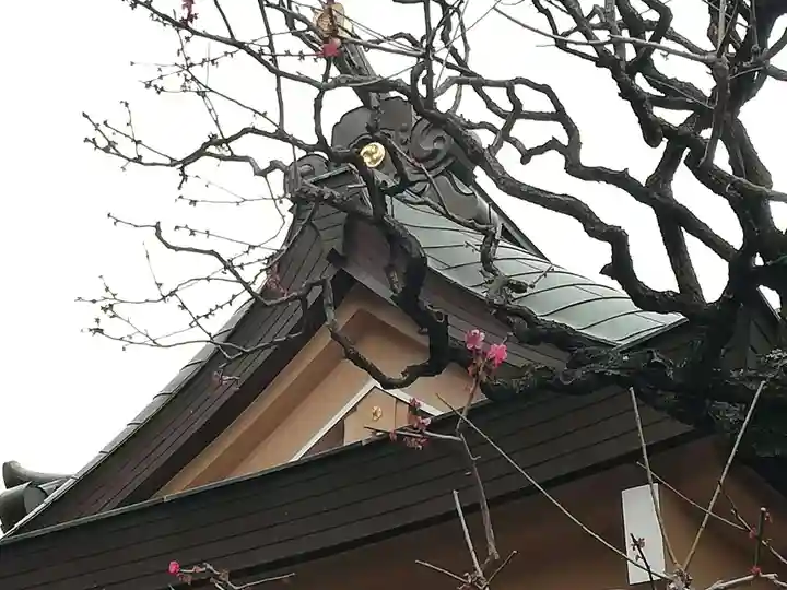 穏田神社の自然