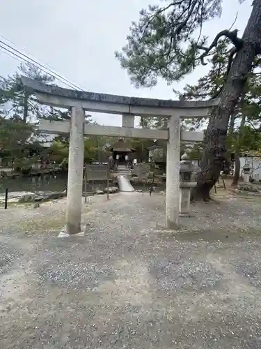 長浜八幡宮の鳥居