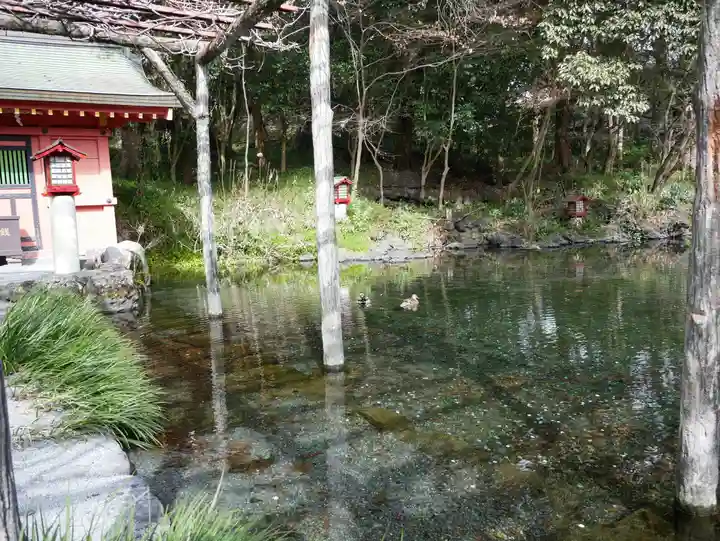 富士山本宮浅間大社(静岡県)